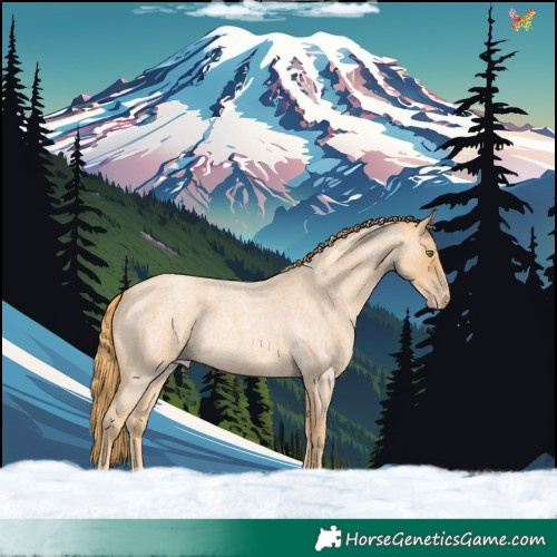 Horse Color:Gold Champagne Roan 