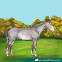 Horse Color:Chocolate Silver Brown Chinchilla Dun Sabino