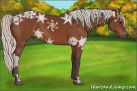 Horse Color:Silver Bay Ice 