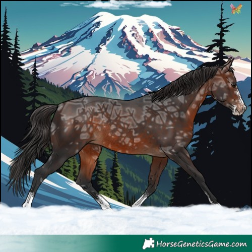 Horse Color:Brown Ice Sabino Rabicano 