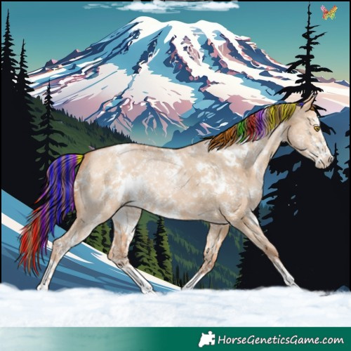 Horse Color:Painted White Spotted Bay Pearl Dun Sabino 