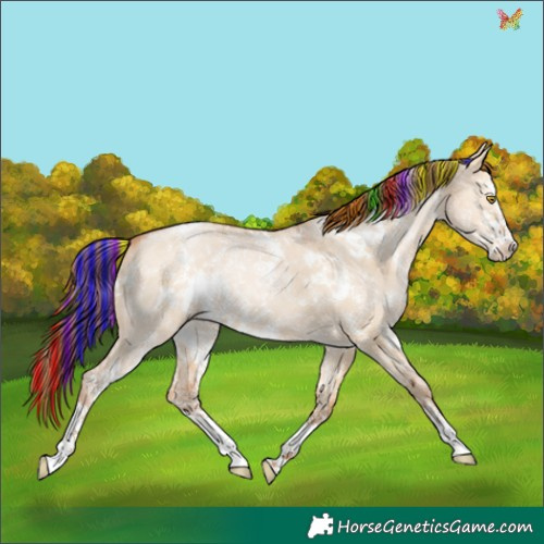 Horse Color:Painted White Spotted Bay Pearl Dun Sabino 