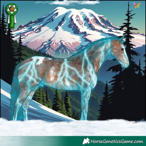 Horse Color:Thunderstruck Bay Sabino Appaloosa 