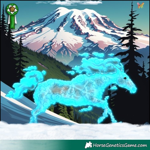 Horse Color:Thunderstruck Bay Sabino Varnish 
