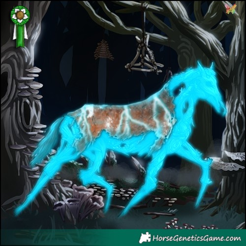 Horse Color:Thunderstruck Bay Sabino Appaloosa 