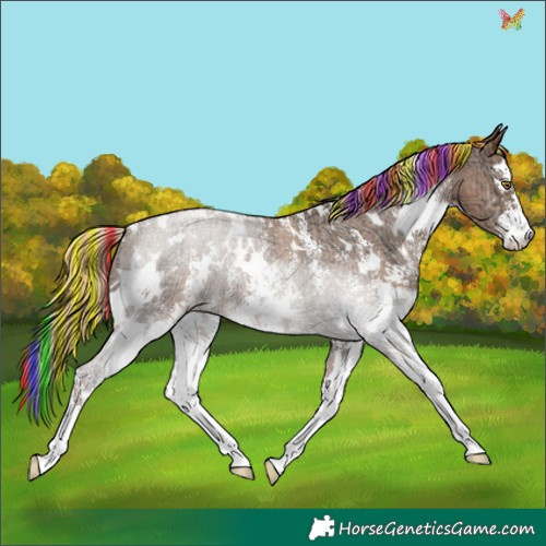 Horse Color:Painted White Spotted Liver Chestnut Ice Pearl Sabino Appaloosa 