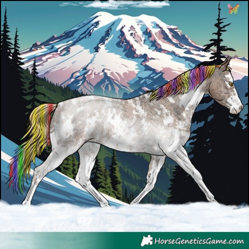 Horse Color:Painted White Spotted Liver Chestnut Ice Pearl Sabino Appaloosa 
