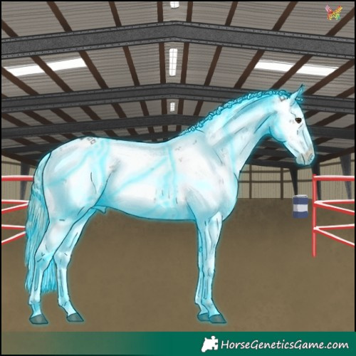 Horse Color:Thunderstruck Liver Chestnut Ice Sabino 