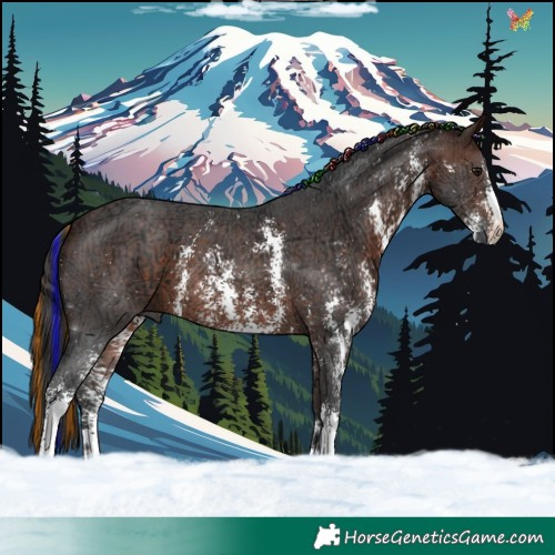 Horse Color:Painted Brown Ice Sabino 
