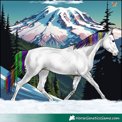 Horse Color:Painted Black Sabino Near Fewspot 