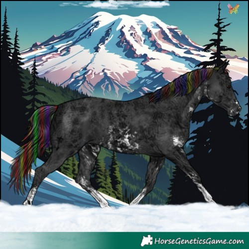 Horse Color:Painted Black Ice Sabino 