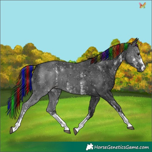 Horse Color:Painted Black Ice Sabino 