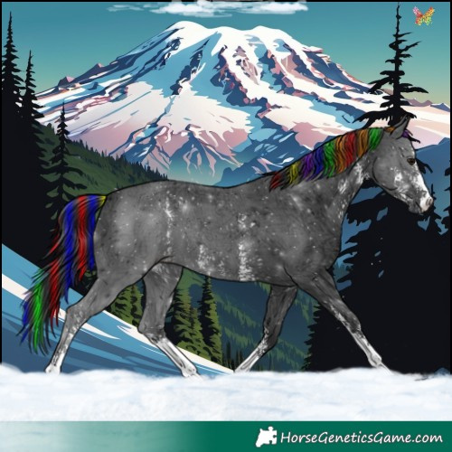 Horse Color:Painted Black Ice Sabino 