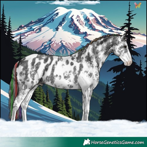 Horse Color:Painted Black Ice Sabino Appaloosa 