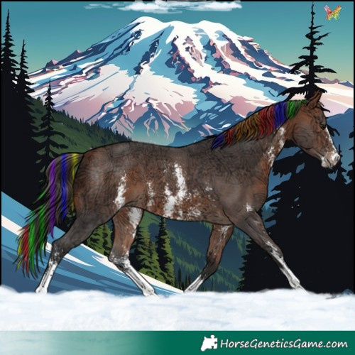 Horse Color:Painted Bay Ice Sabino 