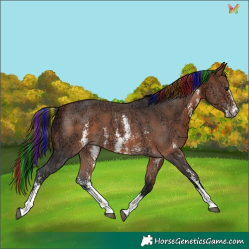 Horse Color:Painted Bay Ice Sabino 