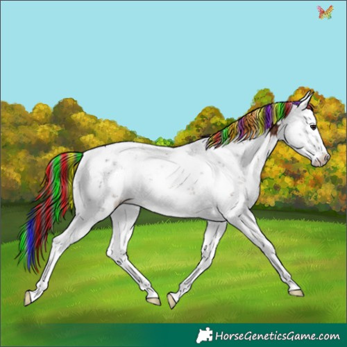 Horse Color:Painted Brown Ice Sabino Appaloosa 