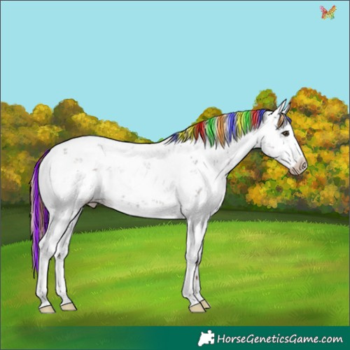 Horse Color:Painted Liver Chestnut Ice Sabino Appaloosa 