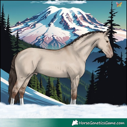 Horse Color:Classic Champagne Dun 