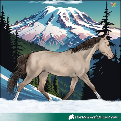 Horse Color:Sable Champagne Dun 