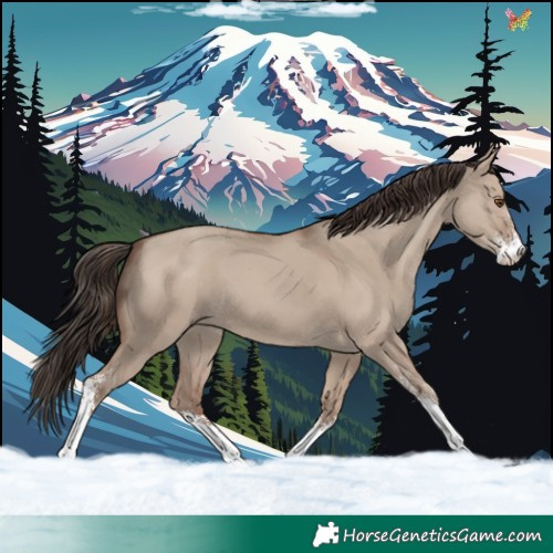 Horse Color:Classic Champagne Dun Sabino 