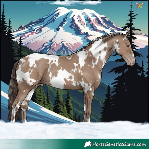 Horse Color:White Spotted Classic Champagne 