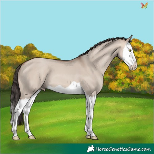 Horse Color:Sable Champagne Dun Splash 