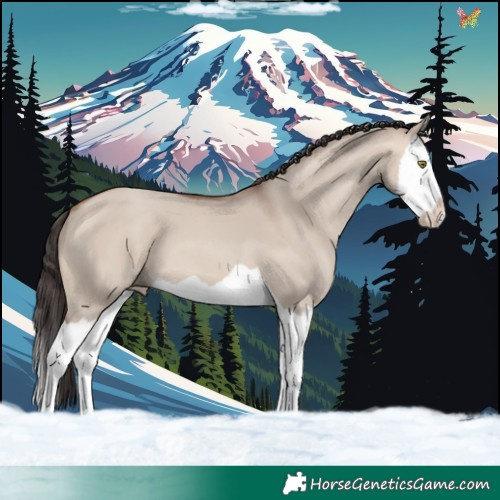 Horse Color:Sable Champagne Dun Splash 