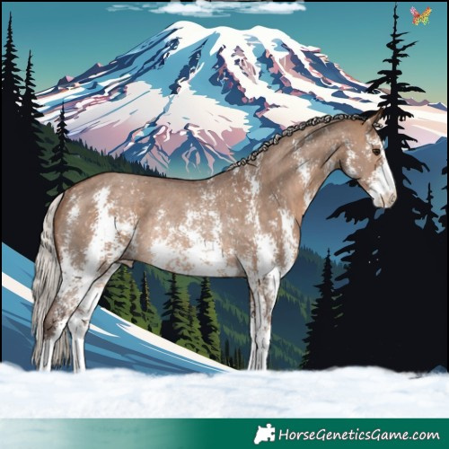Horse Color:Silver Brown Dun Sabino Rabicano 