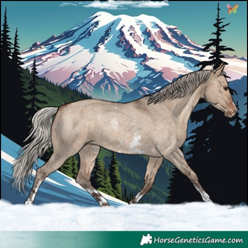 Horse Color:Silver Brown Dun Sabino 