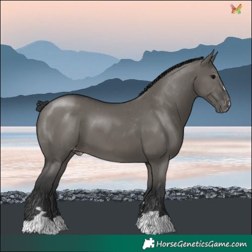 Horse Color:Grullo Varnish 