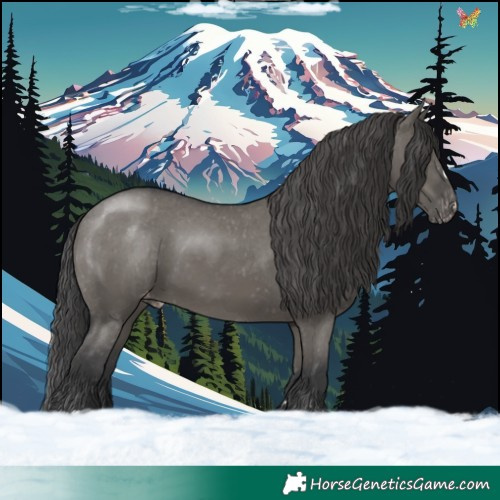 Horse Color:Grullo Appaloosa 