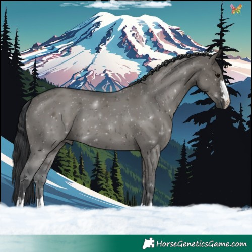Horse Color:Grullo 