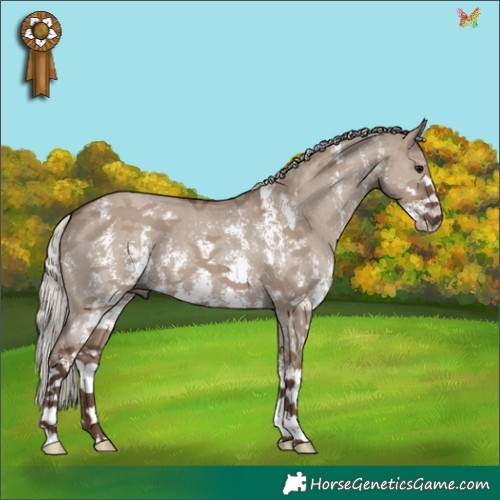 Horse Color:Silver Grullo Sabino 