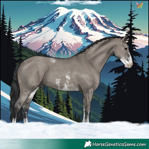 Horse Color:Grullo Sabino 