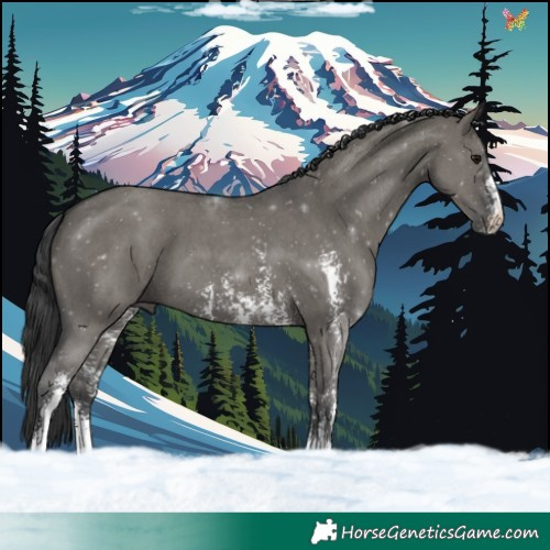 Horse Color:Grullo Sabino 