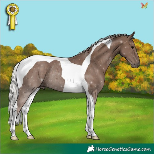 Horse Color:Silver Black Tobiano Rabicano 