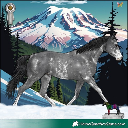 Horse Color:Black Sabino Rabicano 