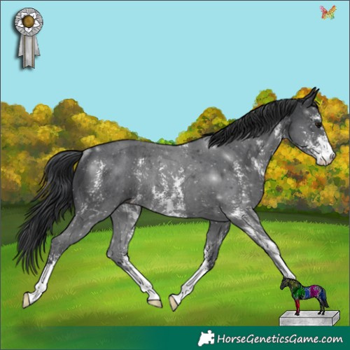 Horse Color:Black Sabino Rabicano 