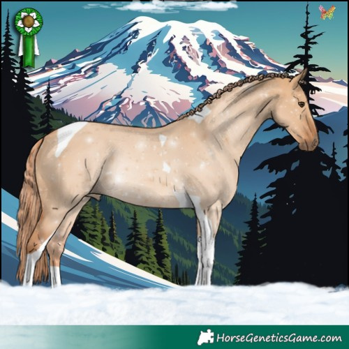 Horse Color:Red Dun Tobiano Rabicano 