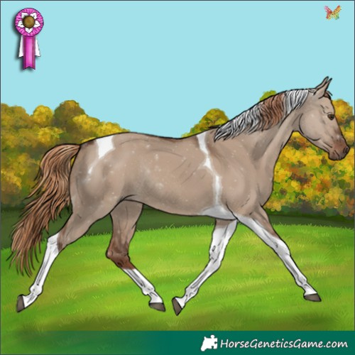 Horse Color:Liver Red Dun Tobiano Rabicano 
