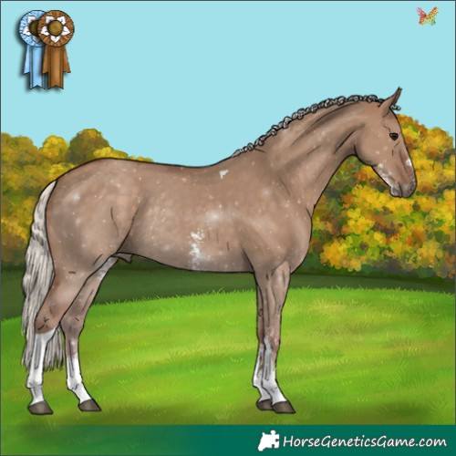Horse Color:Silver Grullo Sabino Tobiano Rabicano 