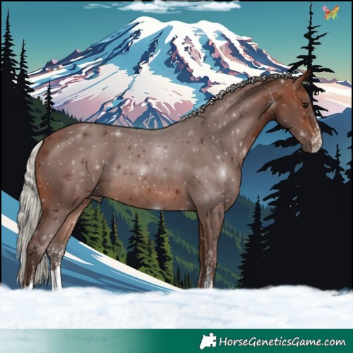 Horse Color:Silver Brown Sabino Rabicano 