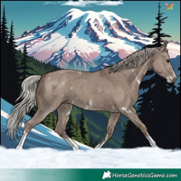 Horse Color:Silver Grullo Sabino 