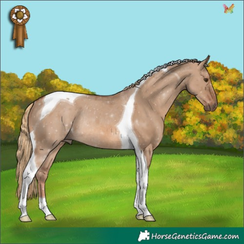 Horse Color:Red Dun Tobiano Rabicano 