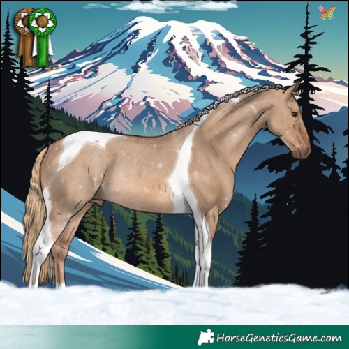 Horse Color:Red Dun Tobiano Rabicano 