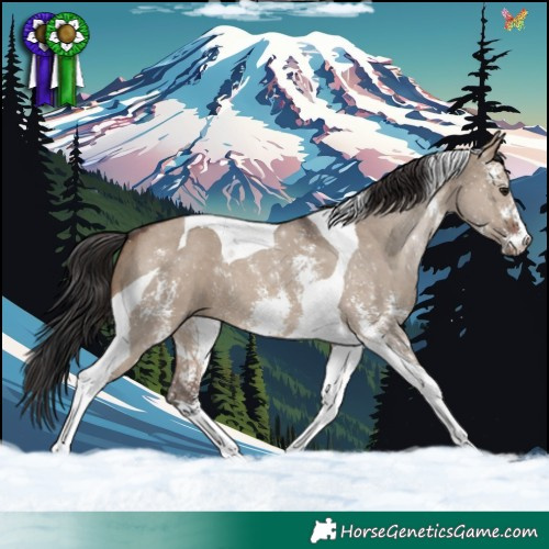 Horse Color:Brown Dun Sabino Tobiano 