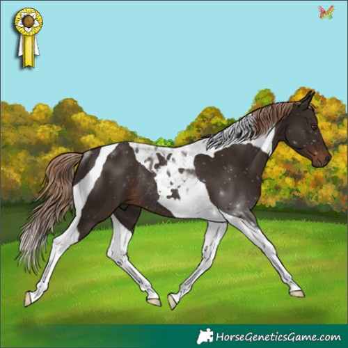 Horse Color:Liver Chestnut Tobiano Rabicano 