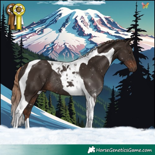 Horse Color:Liver Chestnut Tobiano Rabicano 