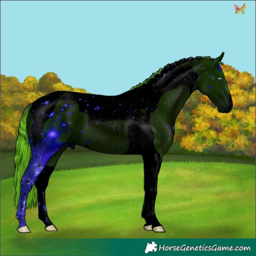 Horse Color:ERROR: UNKNOWN ANOMALY